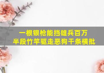 一根银枪能挡雄兵百万 半段竹竿驱走恶狗干条横批